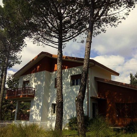 Il Giardino Di Leoca Bed & Breakfast Nicolosi Exterior photo